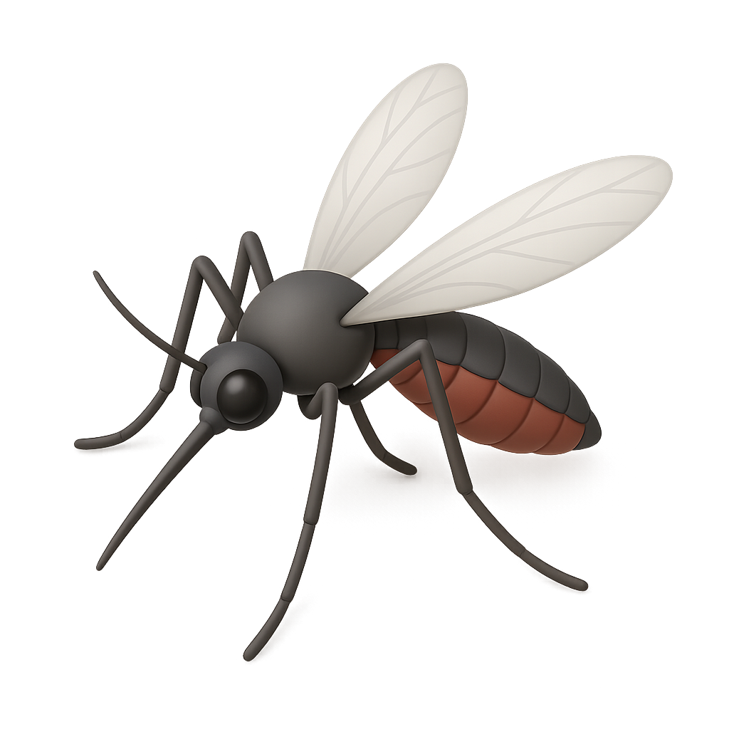 Instalación de mosquiteros