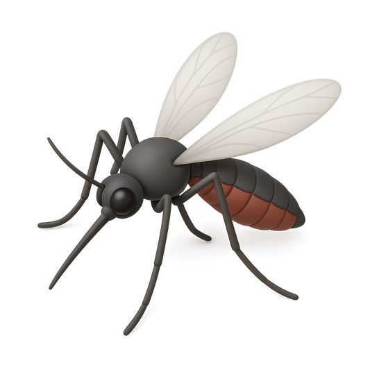 Instalación de mosquiteros